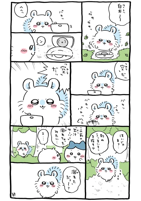 🍚 