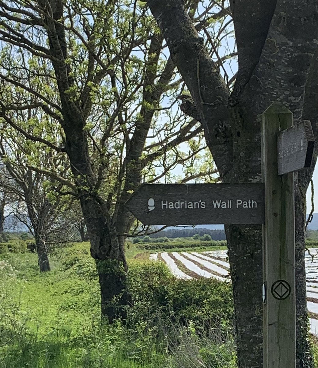 denisamccarthy's tweet photo. Second leg of the #walkforlewis #hadrianwalkchallenge Carlisle to Walton.
https://t.co/LbIlKCcGCt https://t.co/Pfz7VQI659