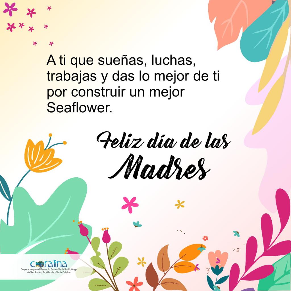 CORALINA tweet media