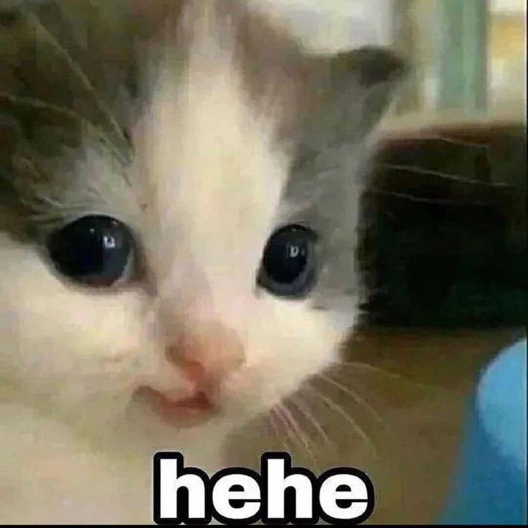 TheTetsusaiga's tweet image. ||