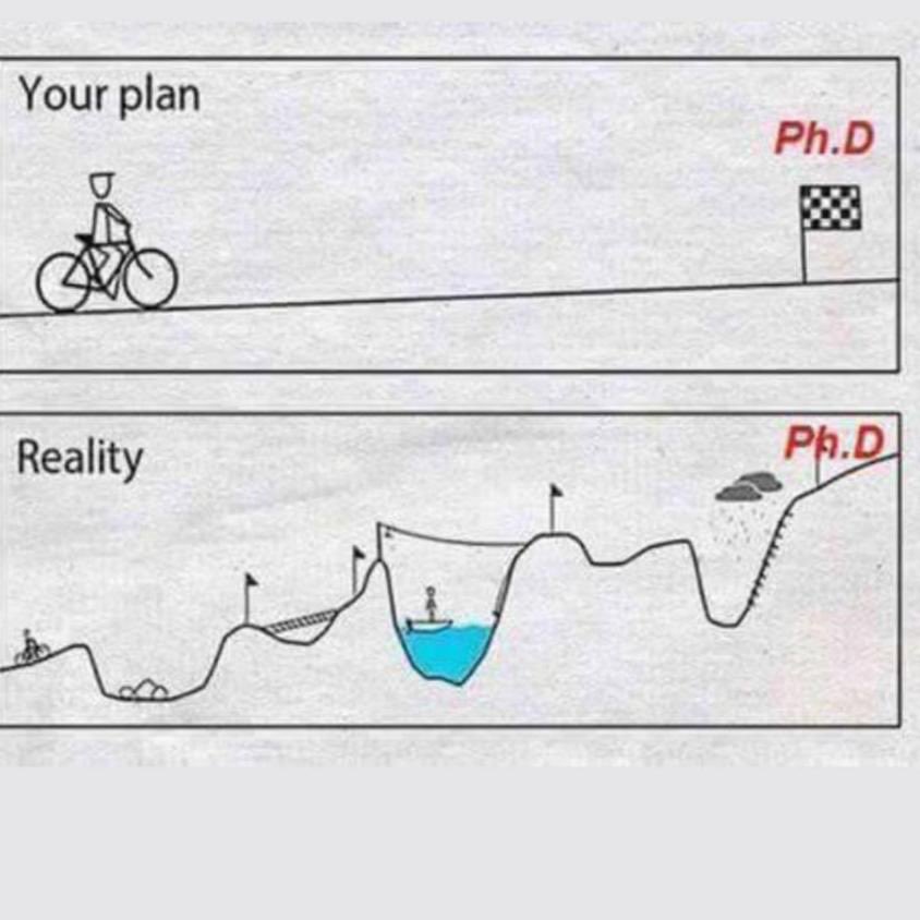 The reality of a PhD journey is never predictable, get ready to meet wonderful and the worst surprises ever. 
⁦⁦<a href="/PhDVoice/">PhD Voice - Independently Run</a>⁩
⁦<a href="/PhD_Genie/">PhD_Genie</a>⁩
#phd
#PhDadvice
#phdjourney