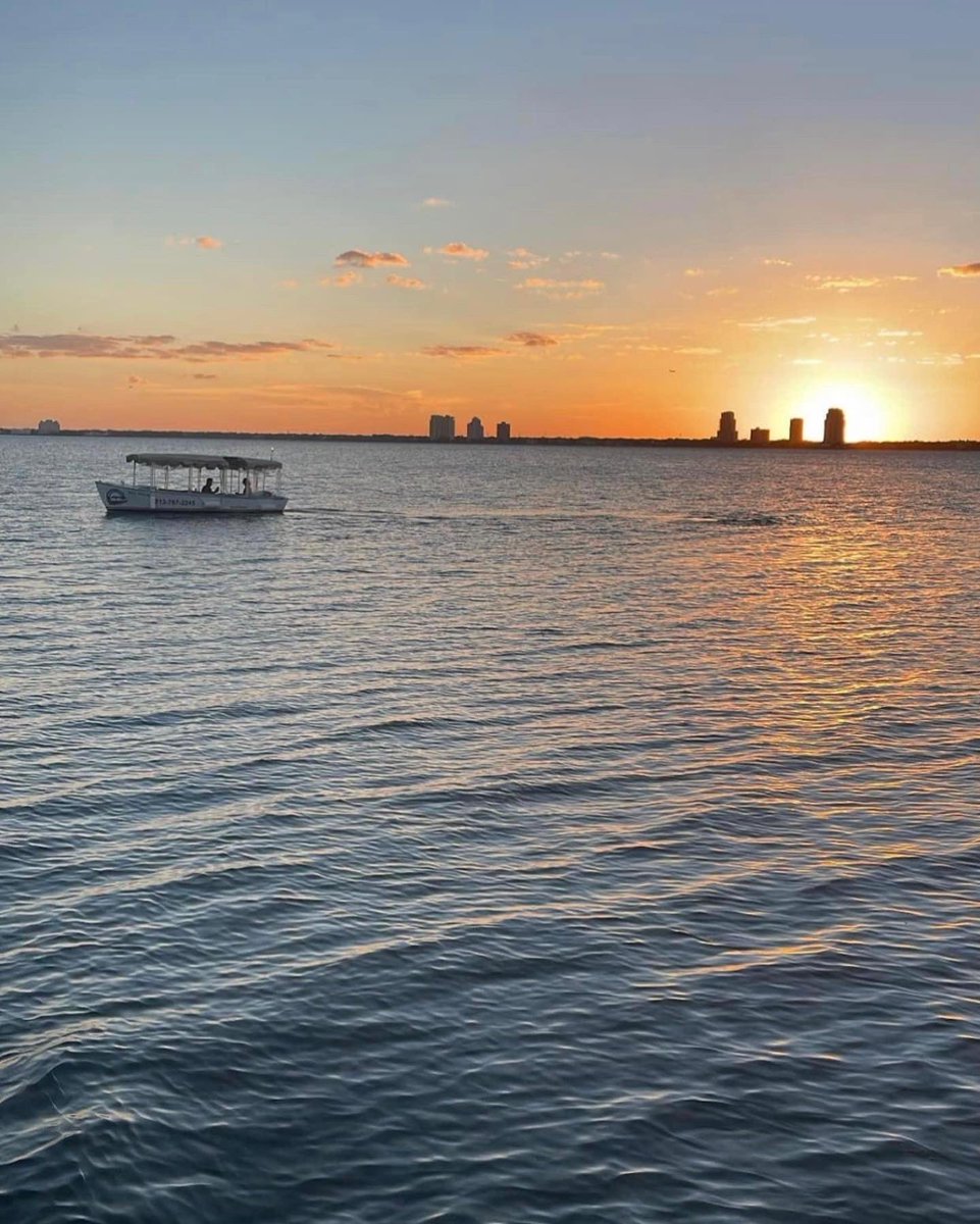 eBOATS TAMPA tweet media