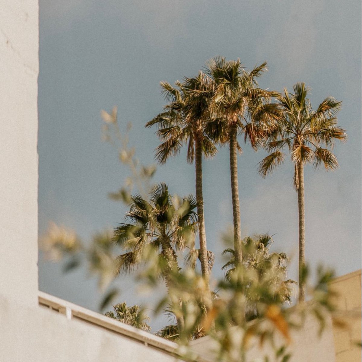 Manifesting a relaxing weekend for all you mother's out there 🌴 Happy Mother's Day!