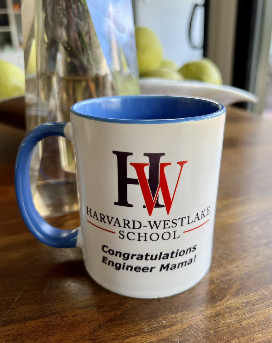 For the record, I am not an engineer- though kids tell me I “engineered” where they go to school 🙄 #MothersDay gift