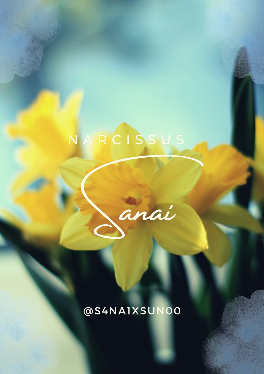 ⠀⠀        𝓢𝓪𝓷𝓪𝓲 , 𝓟𝓻𝓲𝓷𝓬𝓮𝓼𝓼 𝓗𝓪𝓭𝓵𝓮𝔂
                         𝓝𝓪𝓻𝓬𝓲𝓼𝓼𝓾𝓼