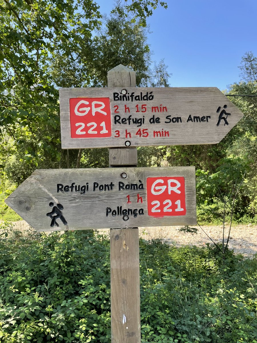vandygirl1998's tweet photo. 12 ish miles from PollenΓ§a climbing the Pilgrimβs Path through a hobbit forest to the monastery at Lluc. #TiredFeet #HappyMamas #FeetsAcrossMallorca https://t.co/flWLkvgcQE