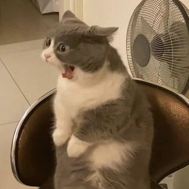 aigu_wingx27's tweet image. หนูละสายตาจากพี่เควินไม่ได้เลยค่ะ พี่แจใส่หมวกแก๊ปคือ... อร้ากกหห !!!! ร้องไห้น้ำตาคลอ พี่แจหล่อเท่เอาเรื่องมาก แม่งเอ้ย !!!!

#YOONJAEHYUK​ #TREASURE​
#EXCLUSIVE_PERFORMANCE_VIDEO