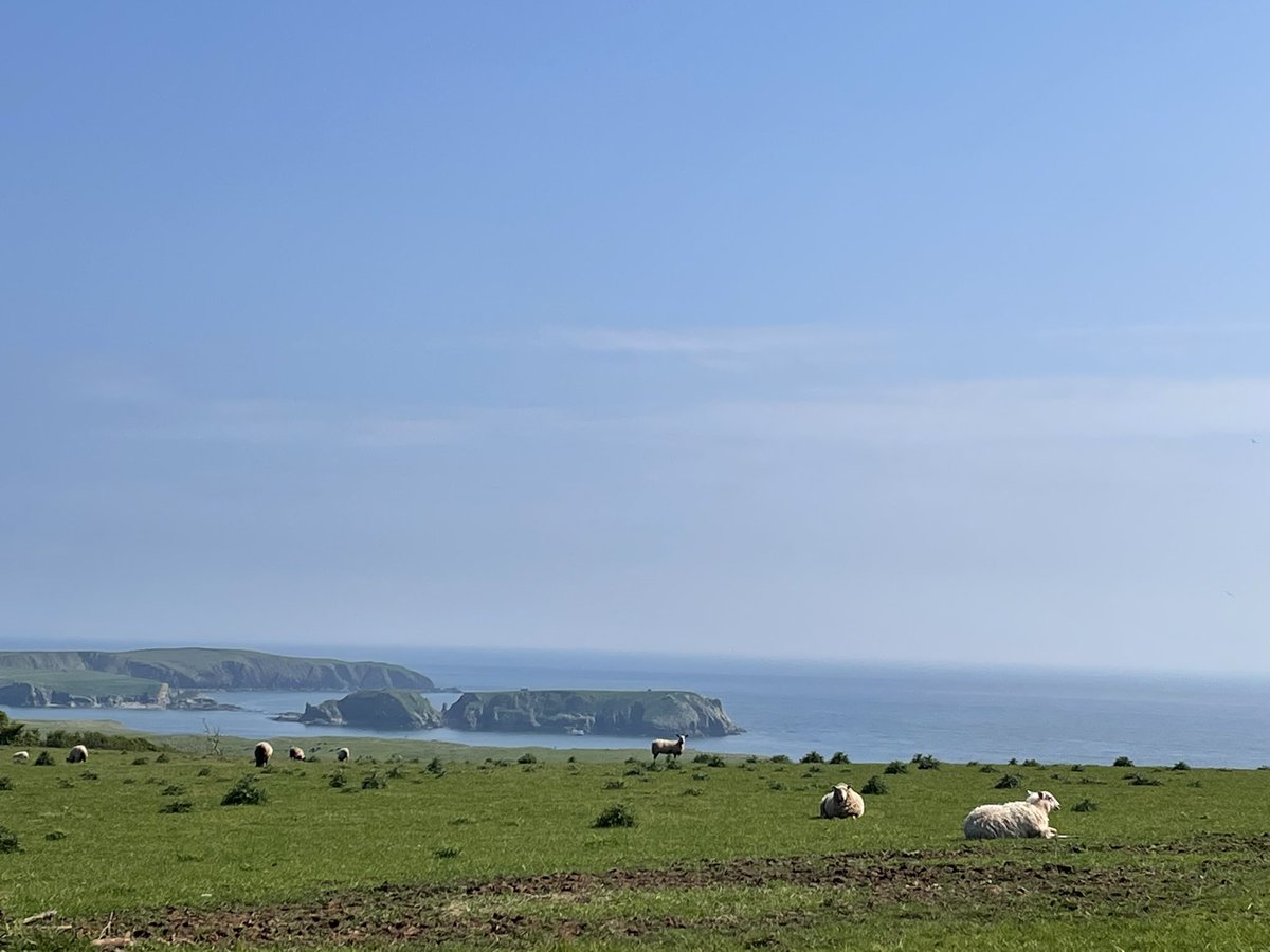 becgbr's tweet image. Sunday afternoon stroll…feel so blessed to live here ❤️