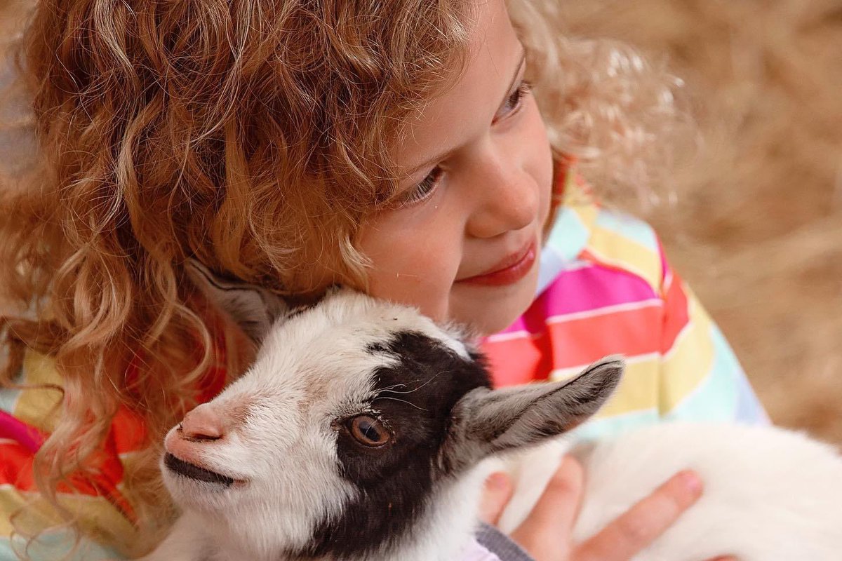 BeatsForBella's tweet photo. Bella’s Make-A-Wish was this weekend. Her day was truly made by being able to spend time at Batz Farm. She now wants a baby goat as a pet!! We are truly thankful to all those at Batz Farm &amp; @MakeAWishPHL for making this so memorable for her ♥️🐐 #LIVINGWithHalfAHeart #CHD https://t.co/RqfZnqt9Ak