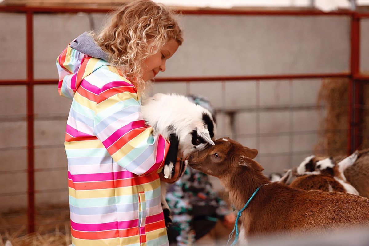 BeatsForBella's tweet photo. Bella’s Make-A-Wish was this weekend. Her day was truly made by being able to spend time at Batz Farm. She now wants a baby goat as a pet!! We are truly thankful to all those at Batz Farm &amp; @MakeAWishPHL for making this so memorable for her ♥️🐐 #LIVINGWithHalfAHeart #CHD https://t.co/RqfZnqt9Ak