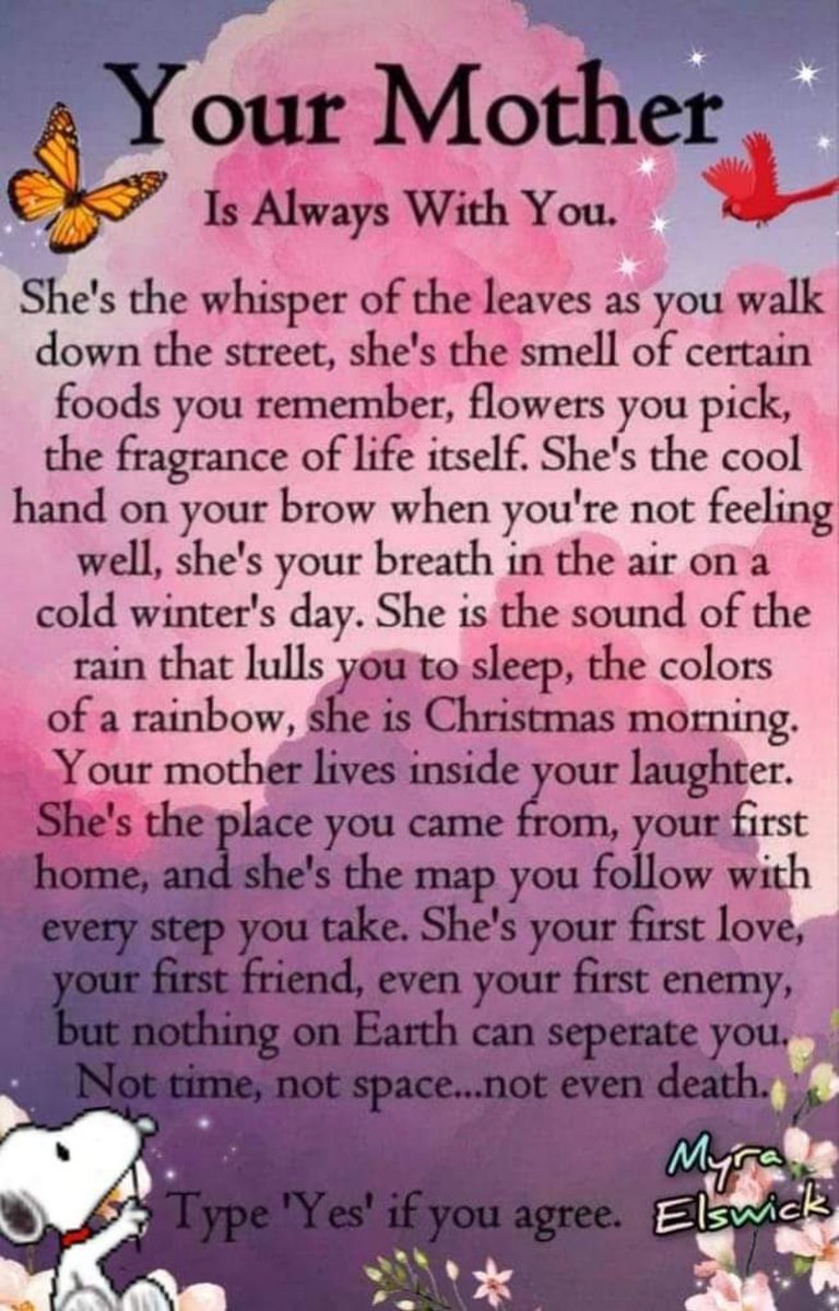 the twins tweet media