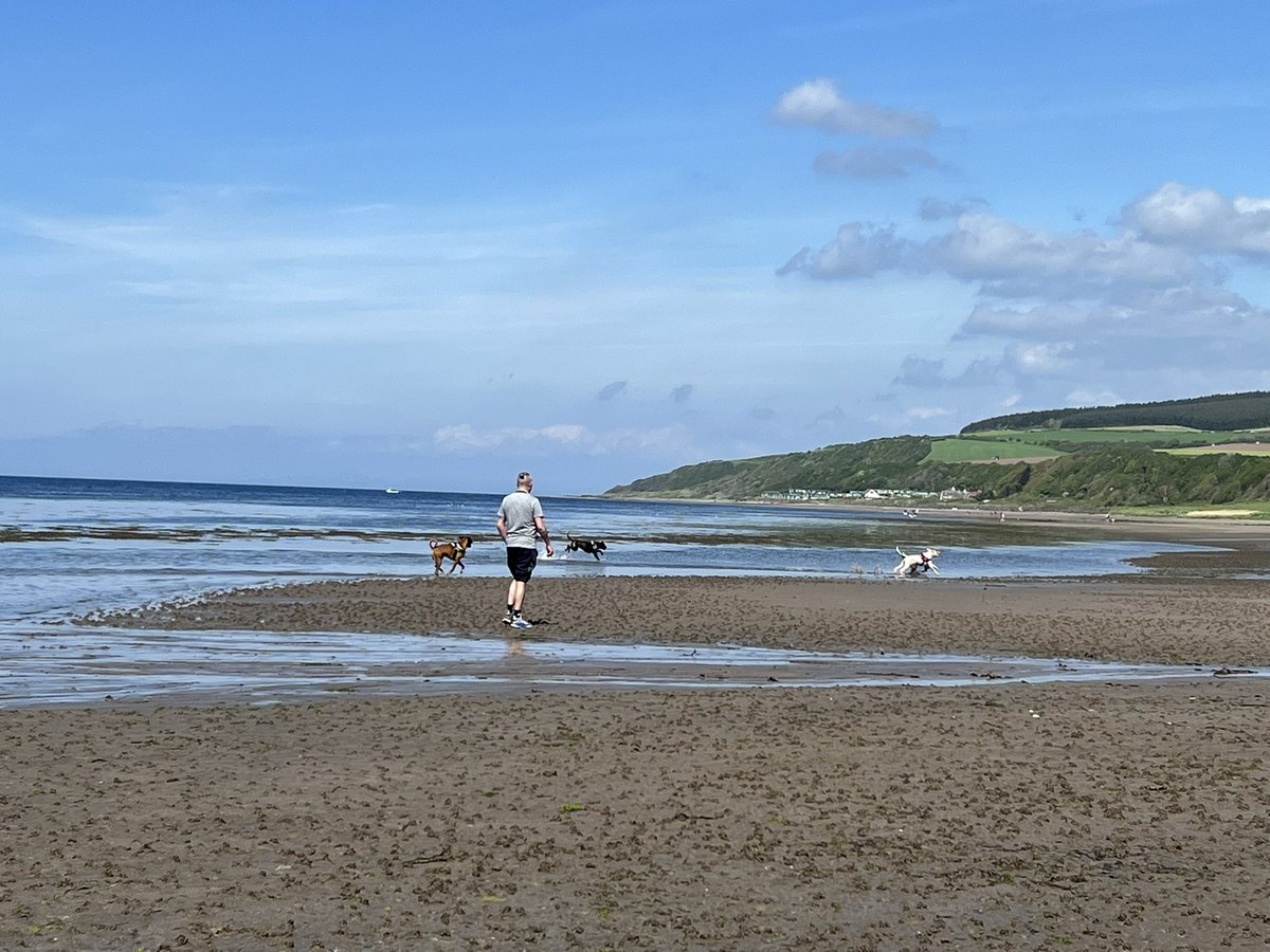 BeithKerry's tweet photo. Sunday fun with the dogs https://t.co/4YAhhUrj3I