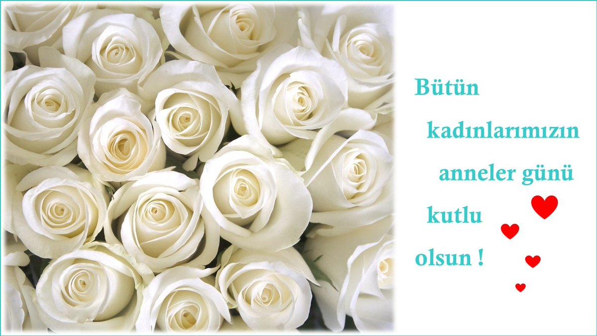 AnneBebekUsk's tweet photo. https://t.co/1f4nG0u0VX