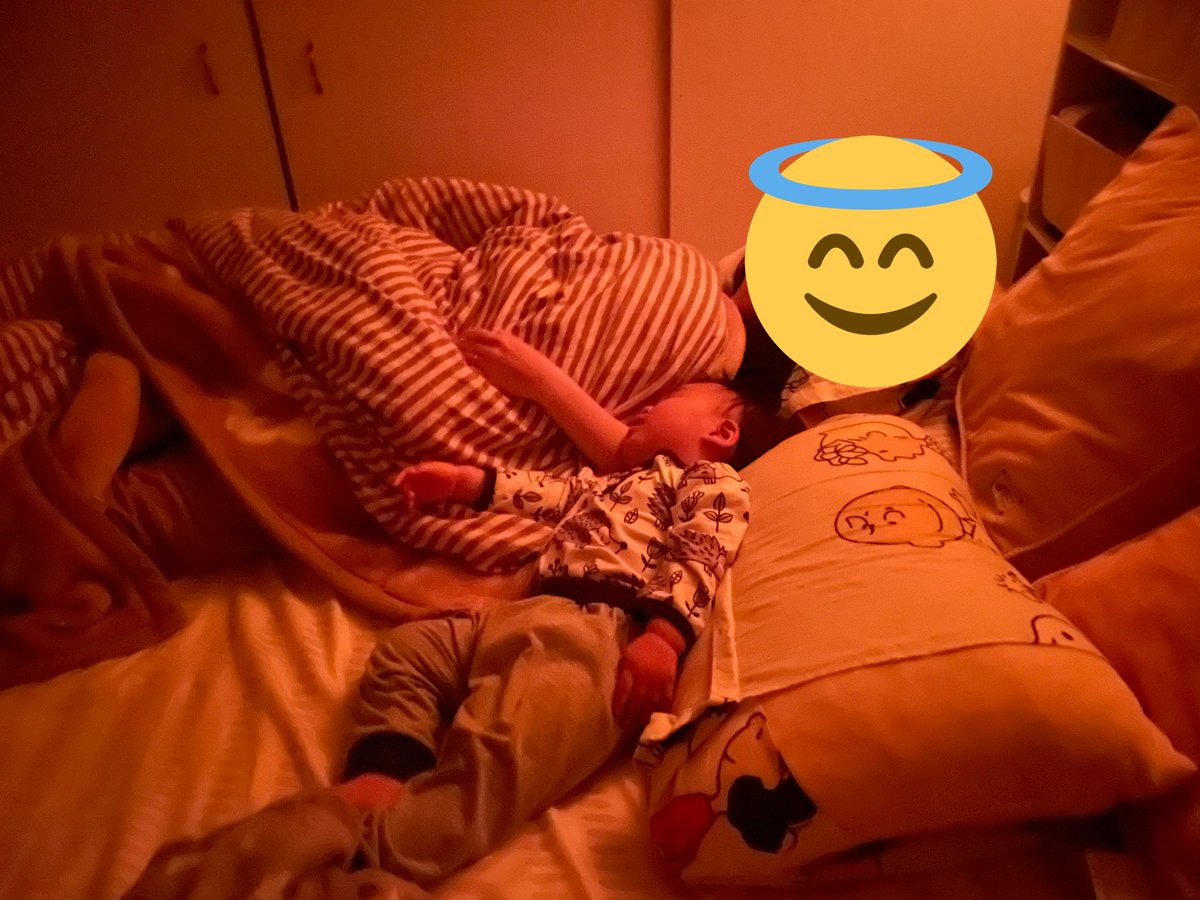 maaats_y's tweet photo. どいつこいつも寝床泥棒ですよ。そんなとこ似なくてええんじゃ。 https://t.co/co7tCh2xKO