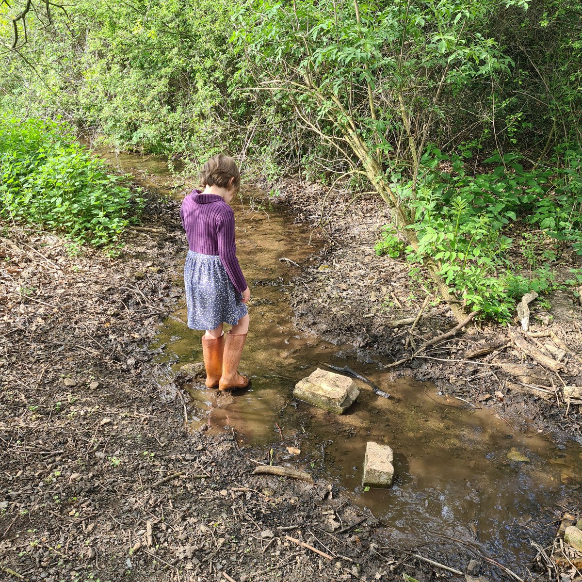 lottewilson1's tweet photo. Got to love styling yourself for Sunday School the putting your wellies on for a muddy splash in the stream. Most stylish walker round here, that's for sure. #SundayBest #StreamWalk #LowWood #NewHairMakesHerLookLikeMillyMollyMandy https://t.co/wjnGqkzhUG