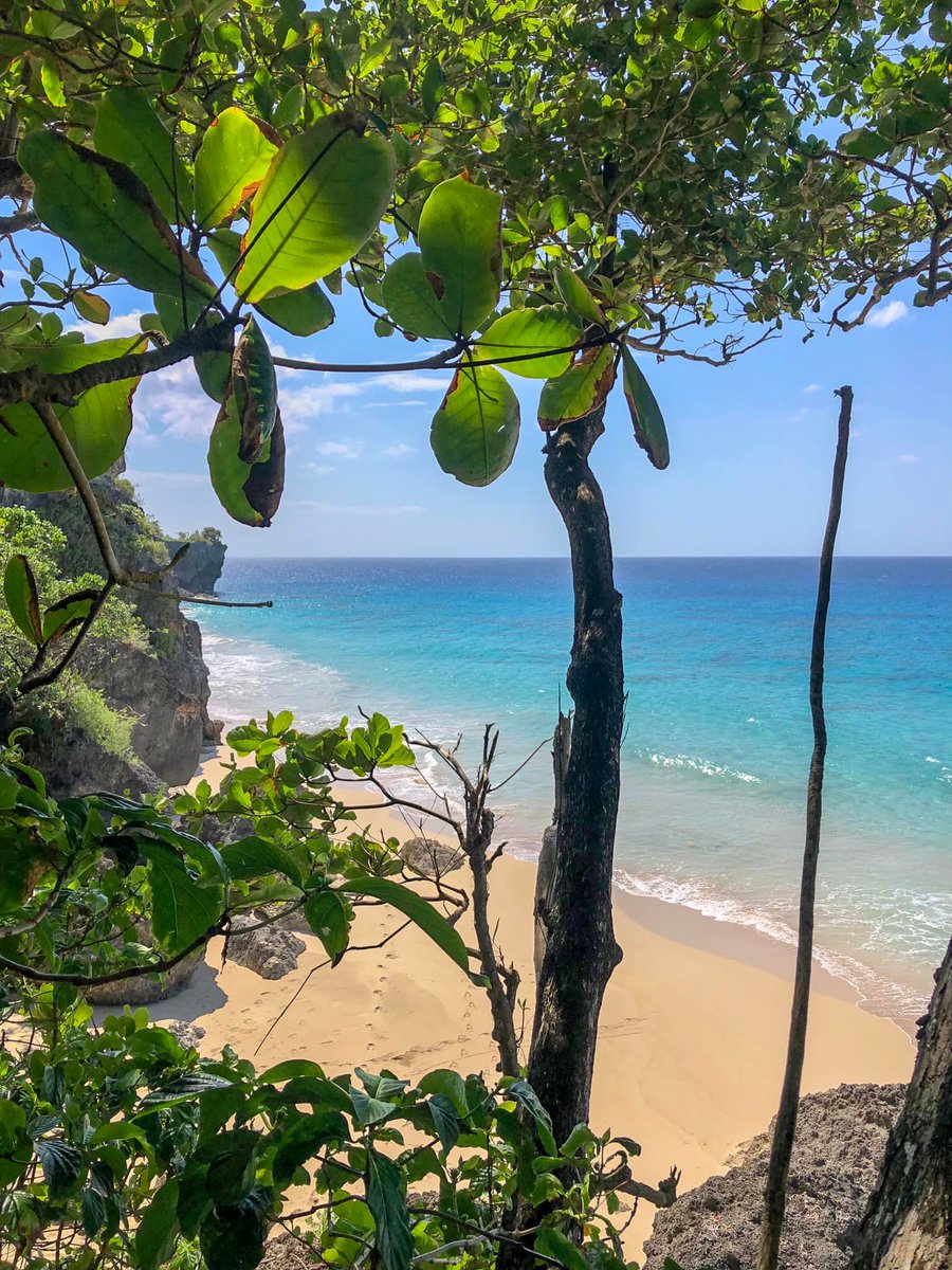 IsaacTours's tweet photo. All the more reason to say I LOVE YOU!!
#travellers #AtlanticOcean #dominicanrepublic #summer #wanderlustXL #Sunset #Sky #WeekendFeeling #travel #Traveler #Wanderlust #travelphotography #TravelBlogger #Trekking #TravelExperience #TailorMadeTravel https://t.co/98Fhj0D8L5
