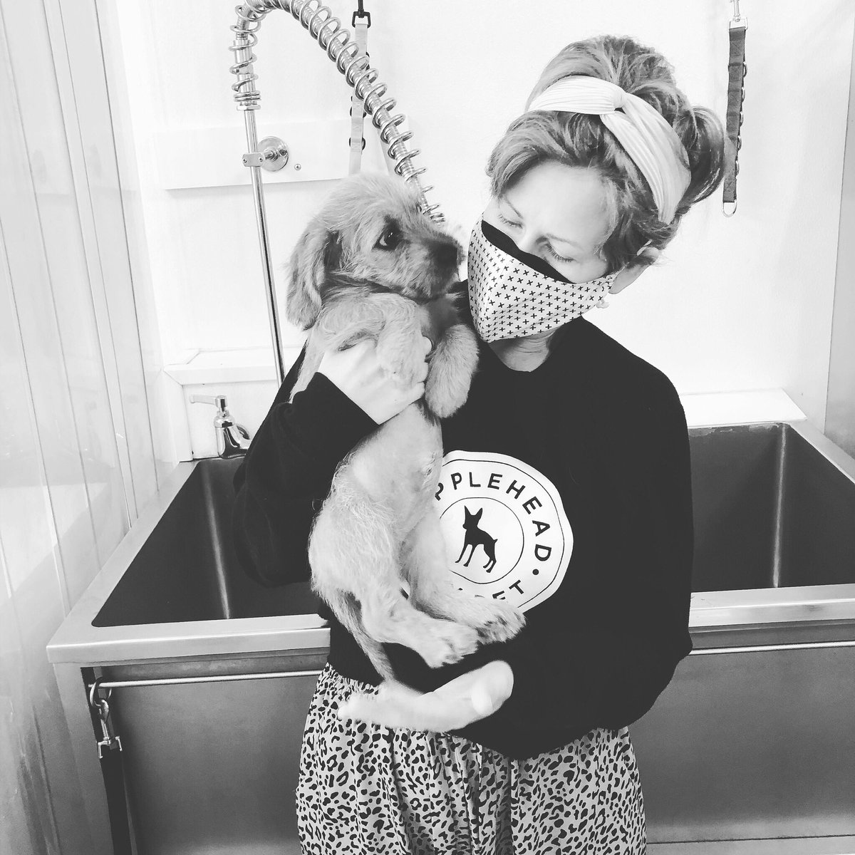 AppleheadLtd's tweet photo. We are so thankful for all of our “children” at Applehead City Pet. Happy Mother’s Day! 

#dogmom #doggroomer #MothersDay https://t.co/TNoBm1rvaG