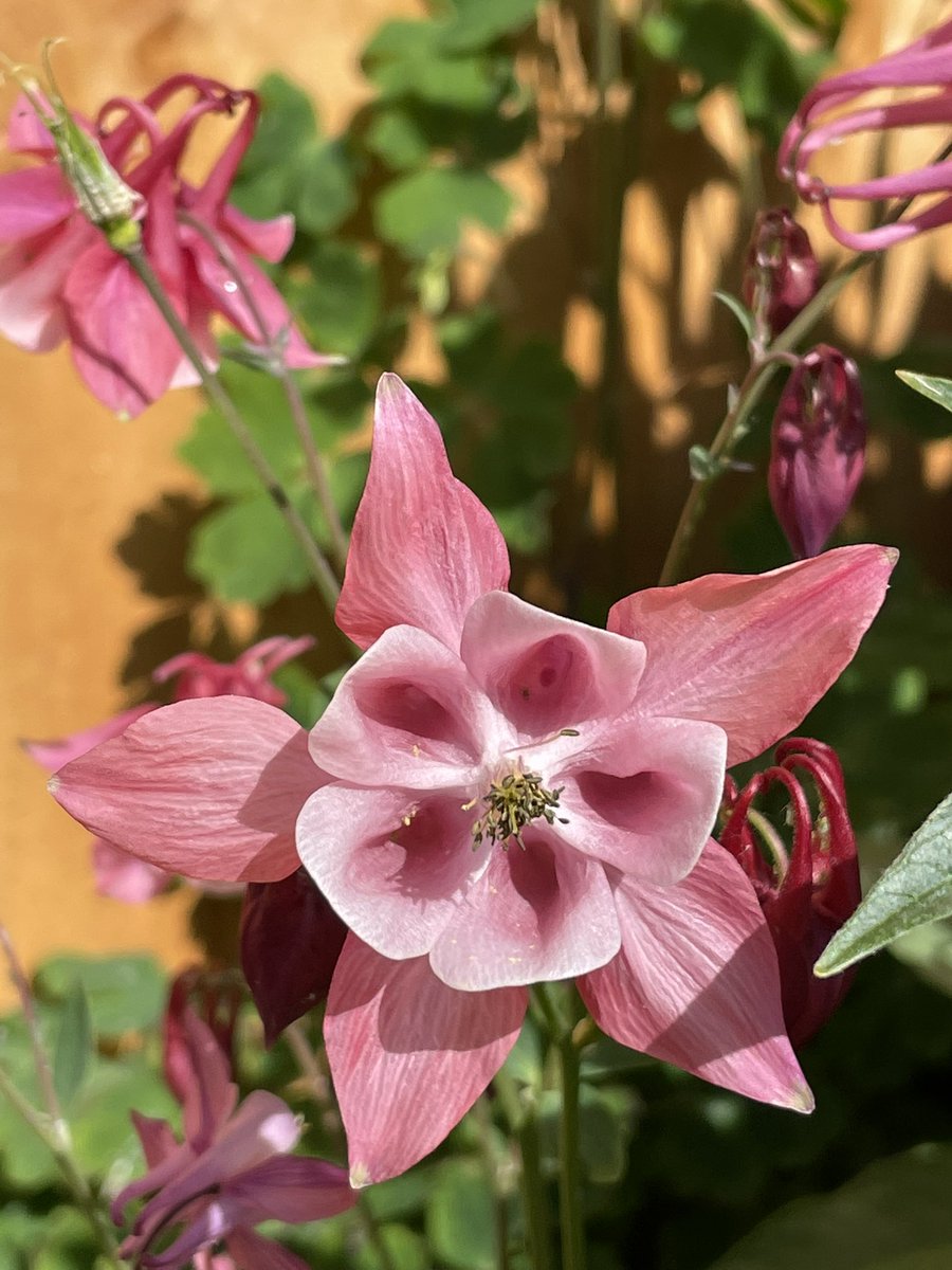 Mother Nature is pretty isn’t she - with such artistry