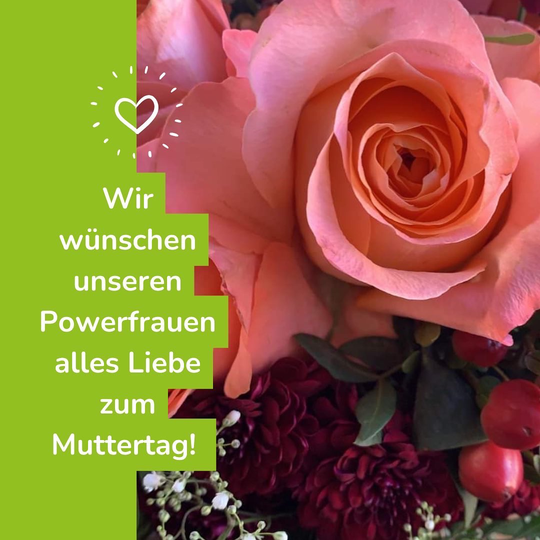 schwarzwildinfo tweet media