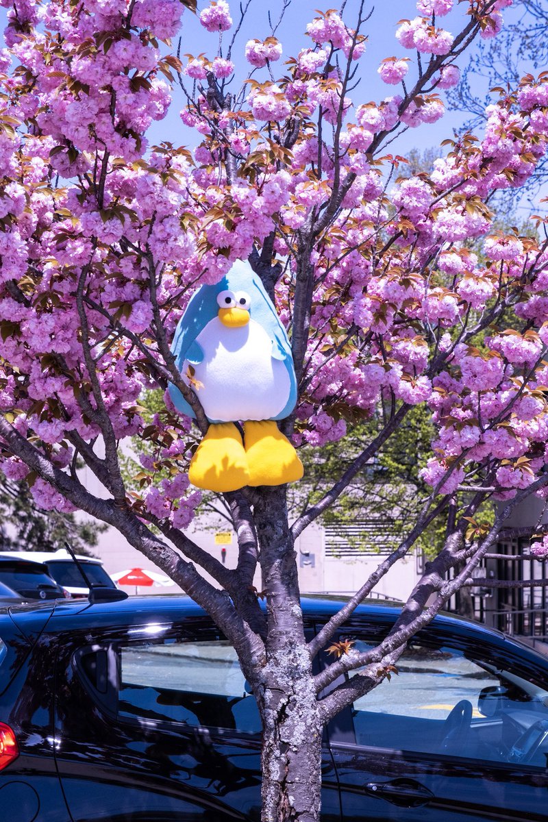 clubpenguinzine's tweet image. .@FlashBash_