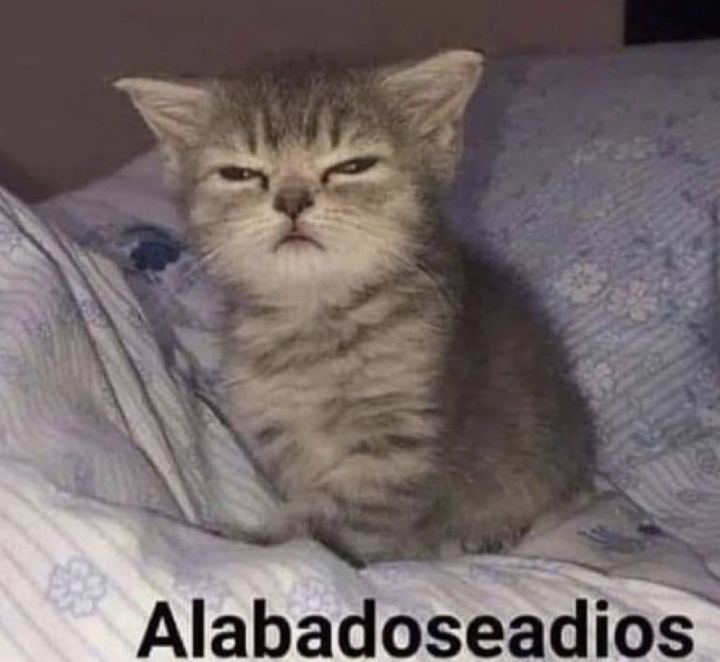 mrn_aleqe's tweet photo. Así me tocó estar hoy en la madrugada, intentado descubrir si era mi silla o un fantasma… https://t.co/j2lSh6uBuQ