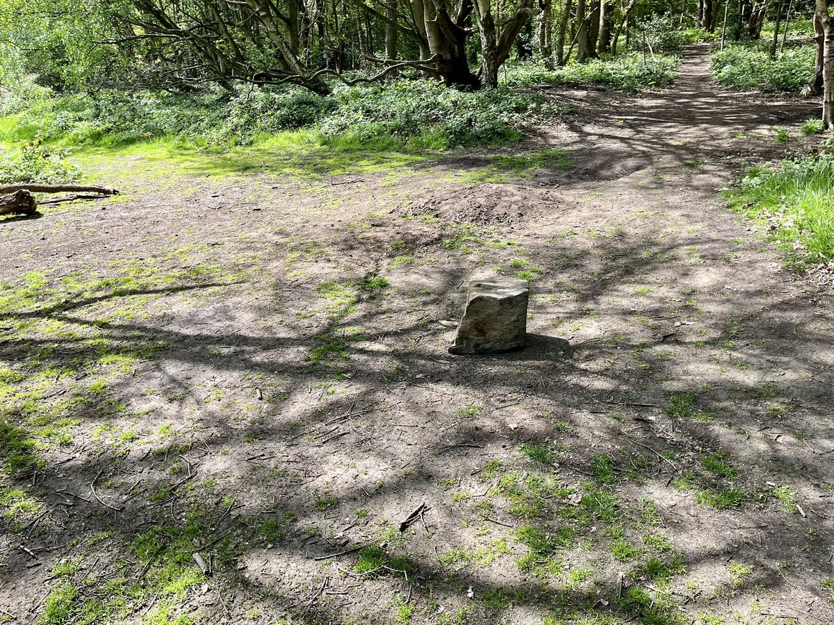 Innocently walking around the local woods and I found that one rock in the middle of open ground that everyone’s characters stand on! #WarhammerCommunity #warmongers