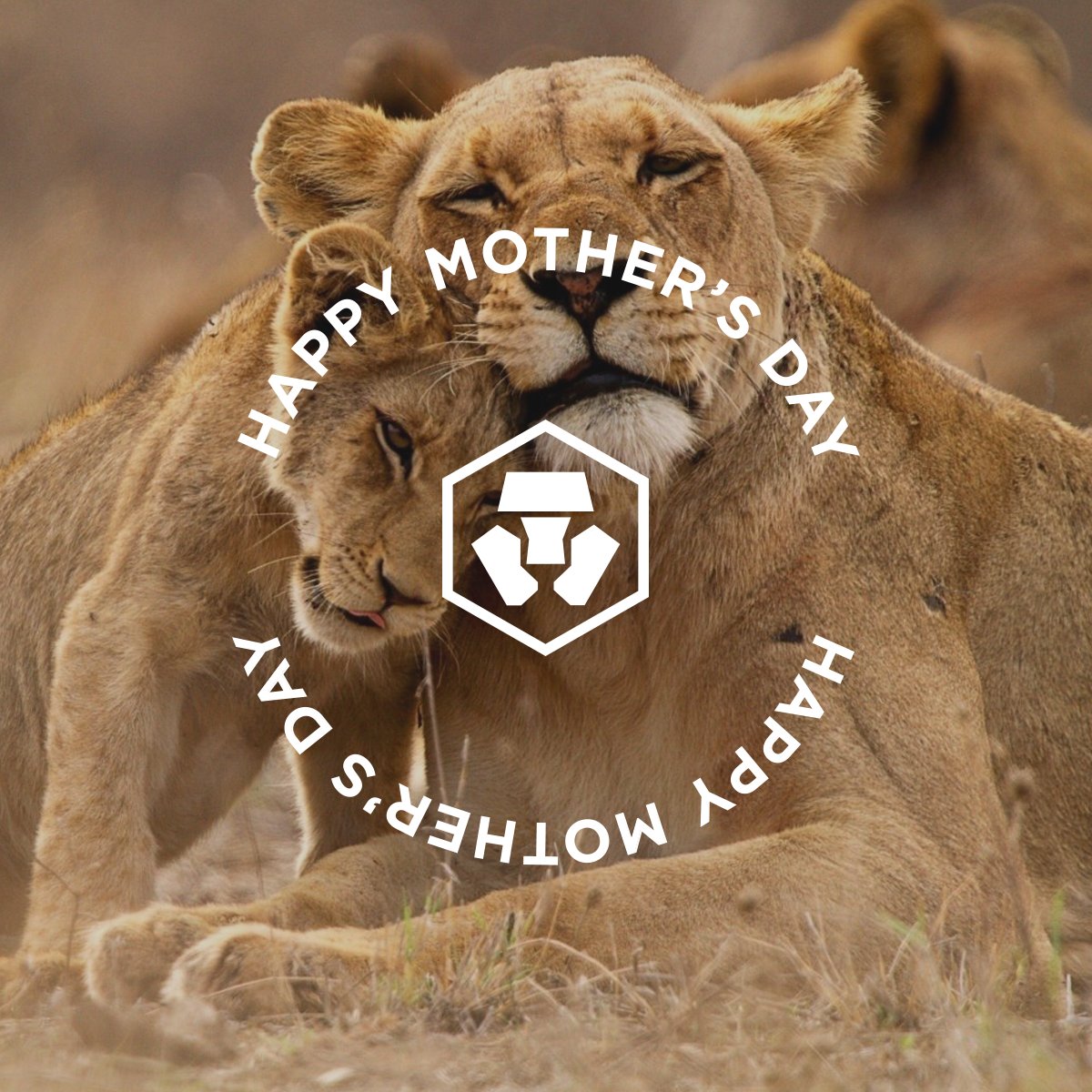 cryptocom's tweet photo. To all of the mothers out there, happy Mother's Day! You're the true heroes. #FFTB https://t.co/lcdZZhNVXf
