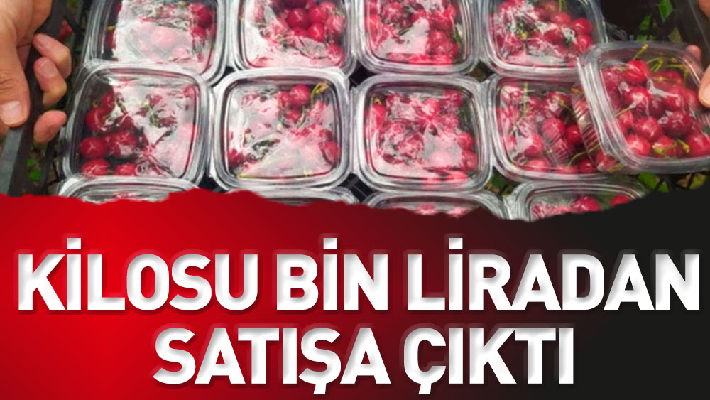 GunboyuGazetesi's tweet photo. Kilosu bin liradan satışa çıktı...
https://t.co/qjnix0MyyI
#meyve #turfanda https://t.co/THpuIRi078