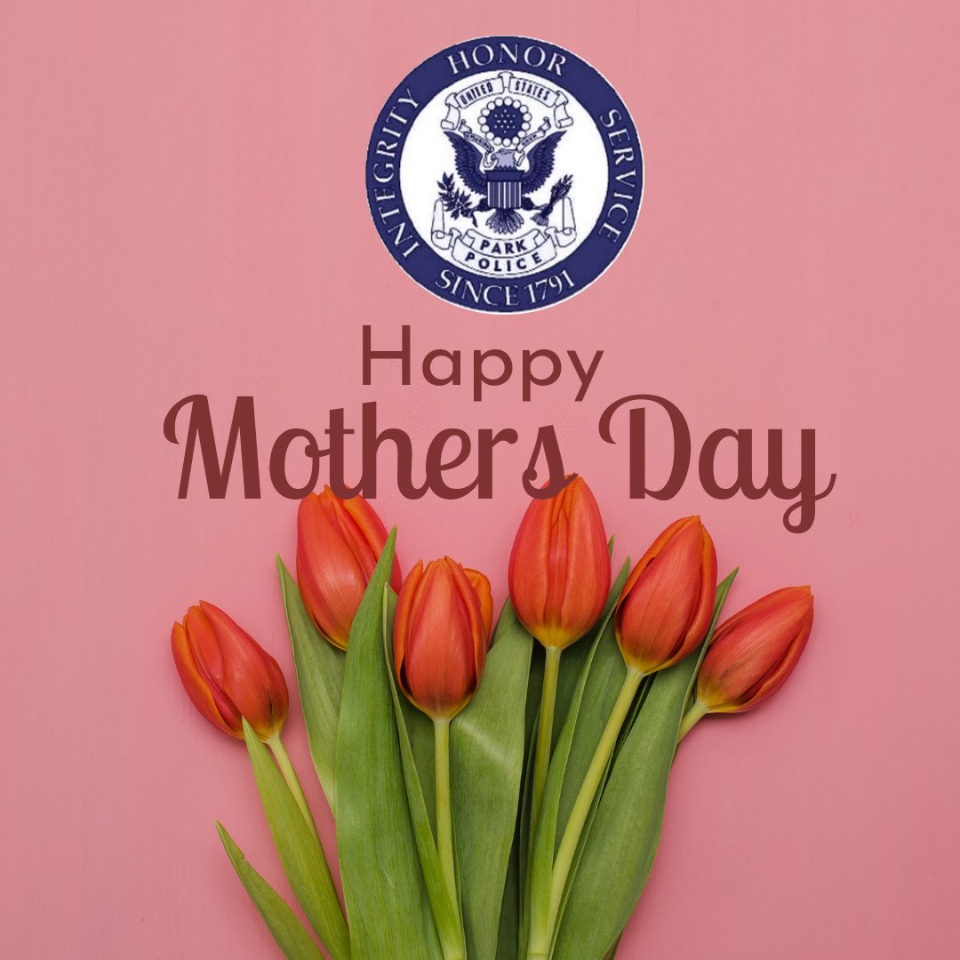 USPPNEWS tweet media