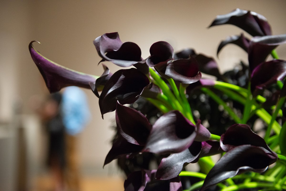 ColaMuseum's tweet photo. Gay Gardeners 
Susan Davis Gibson and Mary Ellen Barnwell, exhibitors 
They Won Benediction Based on The Benedictions by Auguste Rodin 
Materials used: “Night Cap” calla lilies, grapevine, and reindeer moss 
On view in #RodinAtCMA 

#SlowLookSunday #ArtBlossoms #SupportTheArts https://t.co/P7TuOnIc7K
