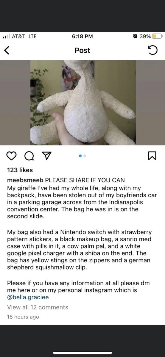PhoebesPlushies's tweet photo. Oh no 😭😭 help bring this bb home https://t.co/V97ImUM3Dn