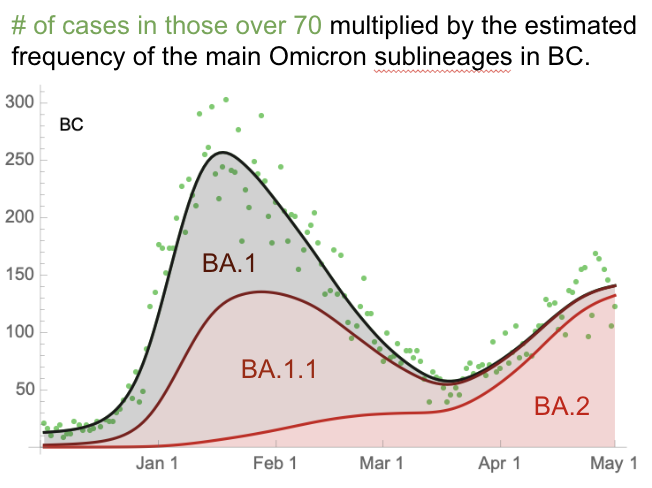 bcCOVID19group tweet media