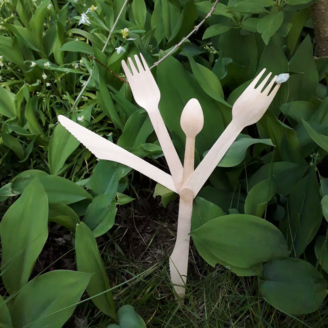 AteliersCortada's tweet photo. Sunny afternoon dancing and gardening with @frayed_edges_ . With a visit from @tomdaley dive-bombing in to say hello.
I can hear @craigrevel "Your hands are like spatulas darling!". More like wooden forks Craig.
#Cutlery #EdinburghGarden #FrayedEdges #FriendlyLocals https://t.co/c9I4AgVIUD