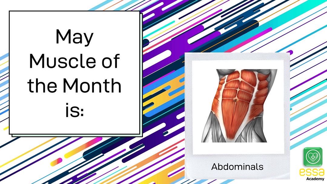 EssaHealth's tweet photo. ‼️MUSCLE OF THE MONTH‼️
May’s muscle of the month are: The Abdominals 💪🏼
Located in your core - check out the exercises & interesting facts 🔎
Can you try any of these exercises at weights club?!
#muscleofthemonth #teamessa #healthfaculty #allwillsucceed #allwillbehealthy 💚💛 https://t.co/RpJhjJzdHn