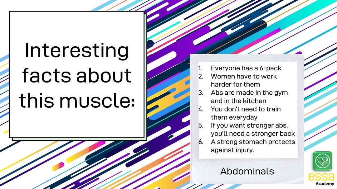 EssaHealth's tweet photo. ‼️MUSCLE OF THE MONTH‼️
May’s muscle of the month are: The Abdominals 💪🏼
Located in your core - check out the exercises & interesting facts 🔎
Can you try any of these exercises at weights club?!
#muscleofthemonth #teamessa #healthfaculty #allwillsucceed #allwillbehealthy 💚💛 https://t.co/RpJhjJzdHn