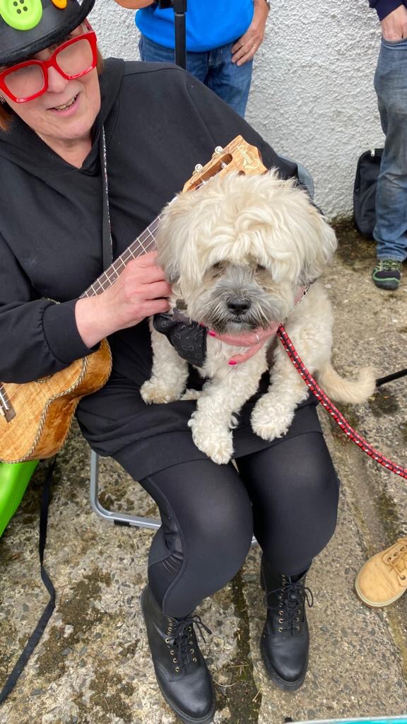 JacqMcGarry1's tweet photo. A day of gigs yesterday with #LisburnUkes and Toby was so impressed he decided to join the band. #MusicalDog https://t.co/WlnUKu3jNQ