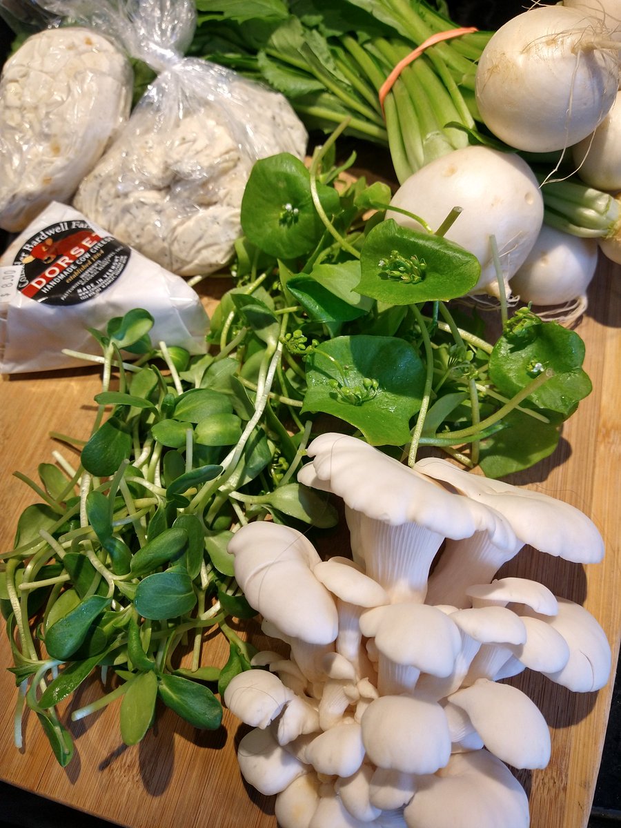 I need ya'll to understand how ridiculously aesthetic my haul from the Dorset farmer's market is. #dorsetfarmersmarket #dorsetvt