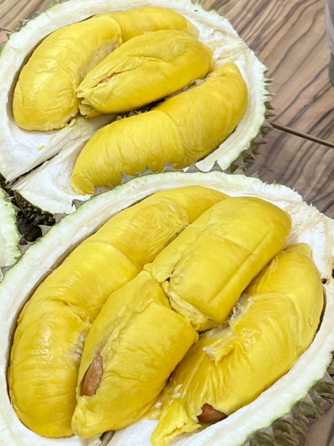 FxAxSxT's tweet photo. fighting through thorny issues can get you to the good stuff

chime in with your own #durian #philosophy https://t.co/CeByn20pDM