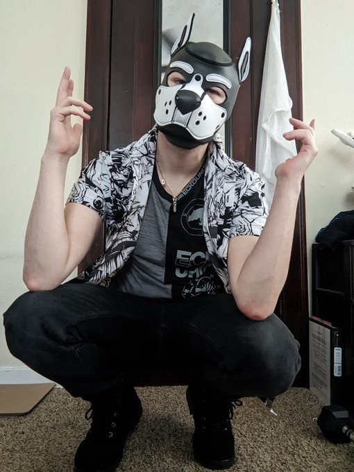 #AlphaPup 😉 https://t.co/Dud89YnsMN<a href="/tag/alphapup"class="tags">#AlphaPup</a>