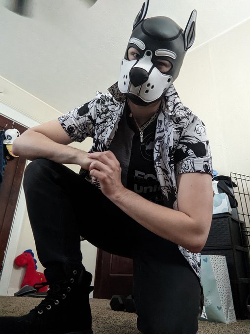 #AlphaPup 😉 https://t.co/Dud89YnsMN<a href="/tag/alphapup"class="tags">#AlphaPup</a>