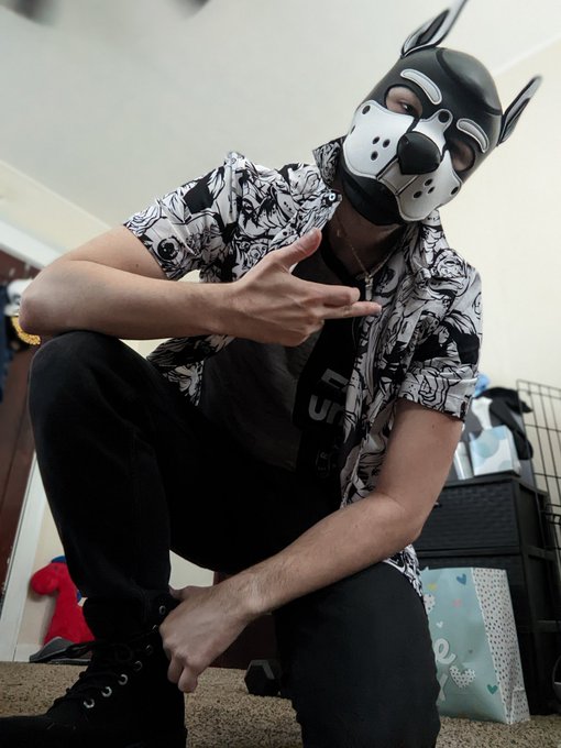 #AlphaPup 😉 https://t.co/Dud89YnsMN<a href="/tag/alphapup"class="tags">#AlphaPup</a>