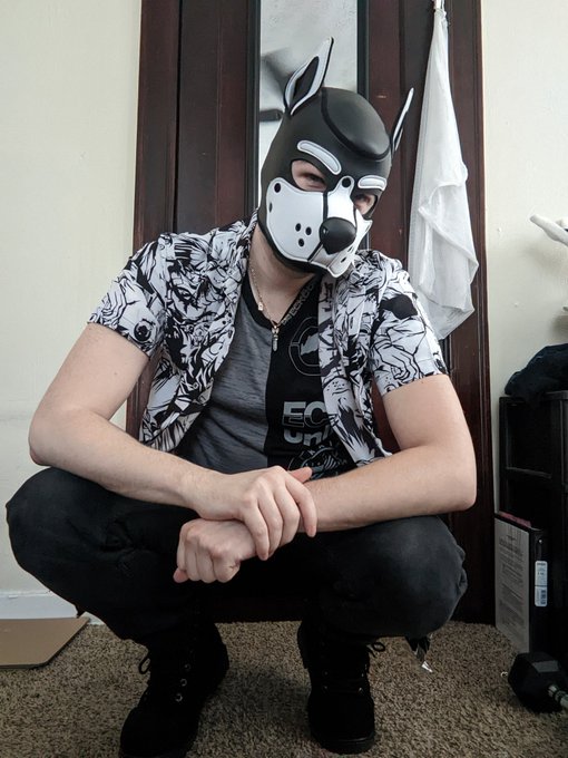 #AlphaPup 😉 https://t.co/Dud89YnsMN<a href="/tag/alphapup"class="tags">#AlphaPup</a>