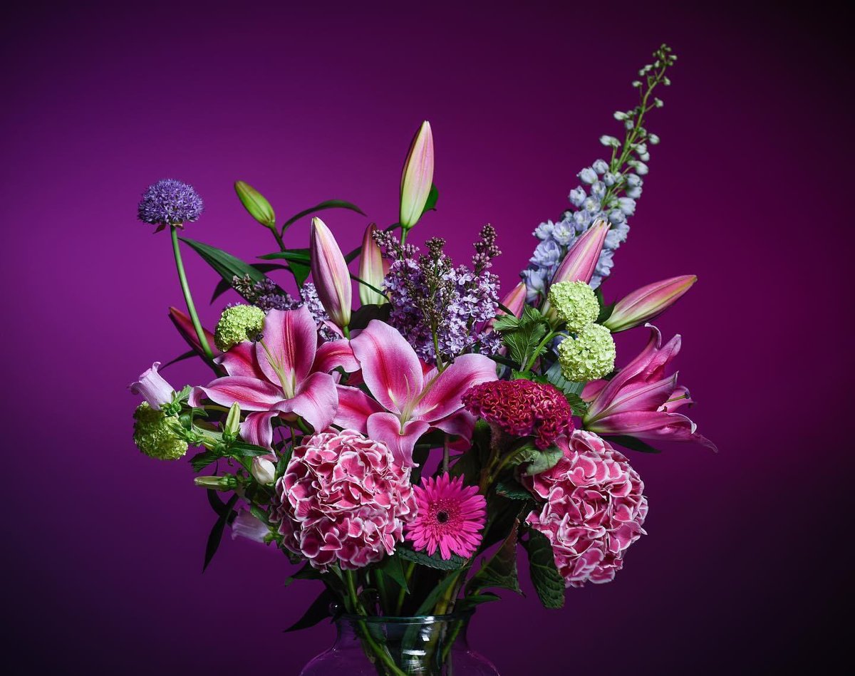 Dutch Lily Masters (@dutchlilymaster) on Twitter photo Happy Mother’s Day! ❤️
The result of ‘Making a Masterpiece’ in full resolution. We would like to thank <a href="/MetBloemen/">Peter van de Velde</a> for arranging this masterpiece. 💐
#dutchlilymasters #growingmasterpieces #floralarrangement #liliums #liliumdalian Happy Mother’s Day! ❤️
The result of ‘Making a Masterpiece’ in full resolution. We would like to thank <a href="/MetBloemen/">Peter van de Velde</a> for arranging this masterpiece. 💐
#dutchlilymasters #growingmasterpieces #floralarrangement #liliums #liliumdalian