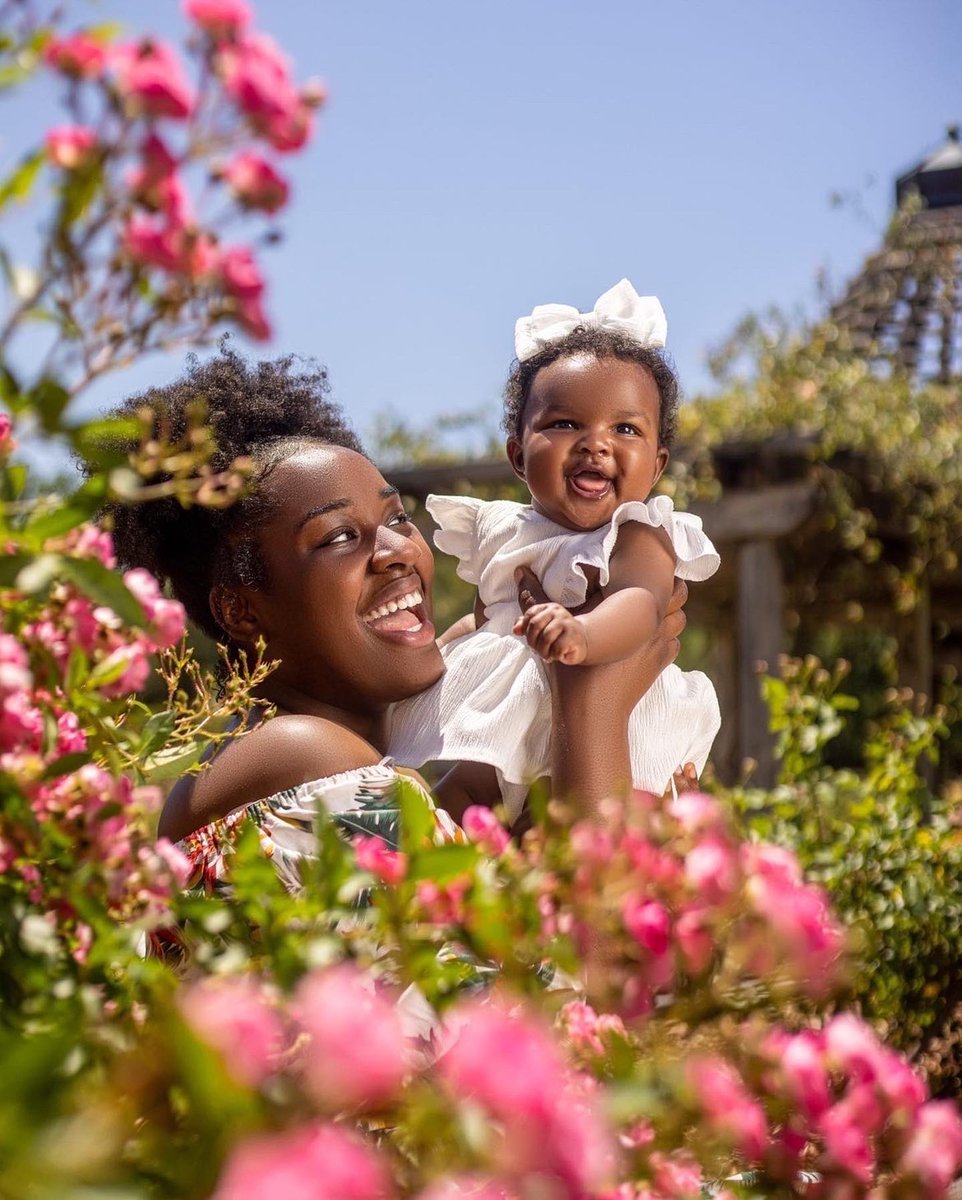 🌻🌸 tweet media