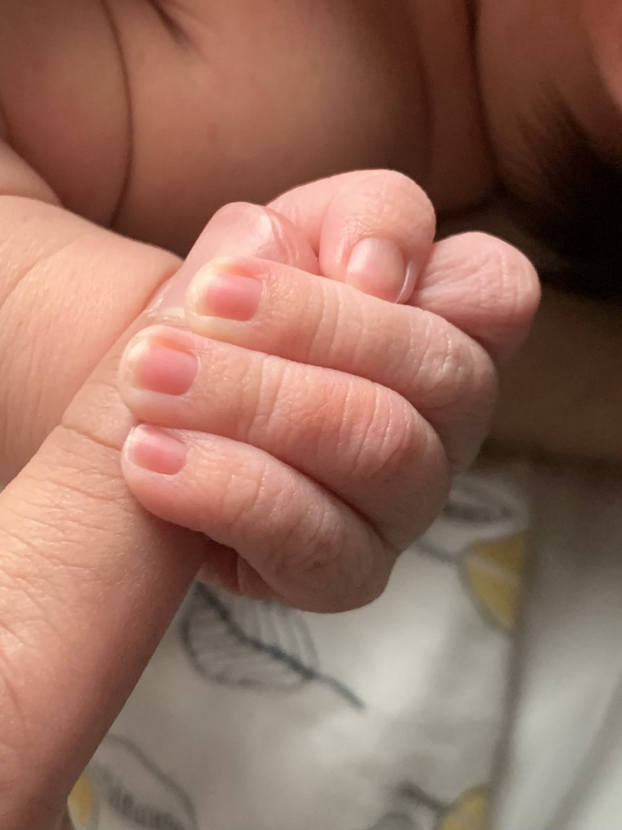 kayjaycee88's tweet photo. Woke up to the (second) best gift ever 😍 my first #WoWG from hubby!
First best gift was welcoming my son into the world two weeks ago 🤍 so in love with him
Would love to connect with mommas and the #WoW fam out there
#thetimeismom #wowfollowwow https://t.co/83x66ThOyi