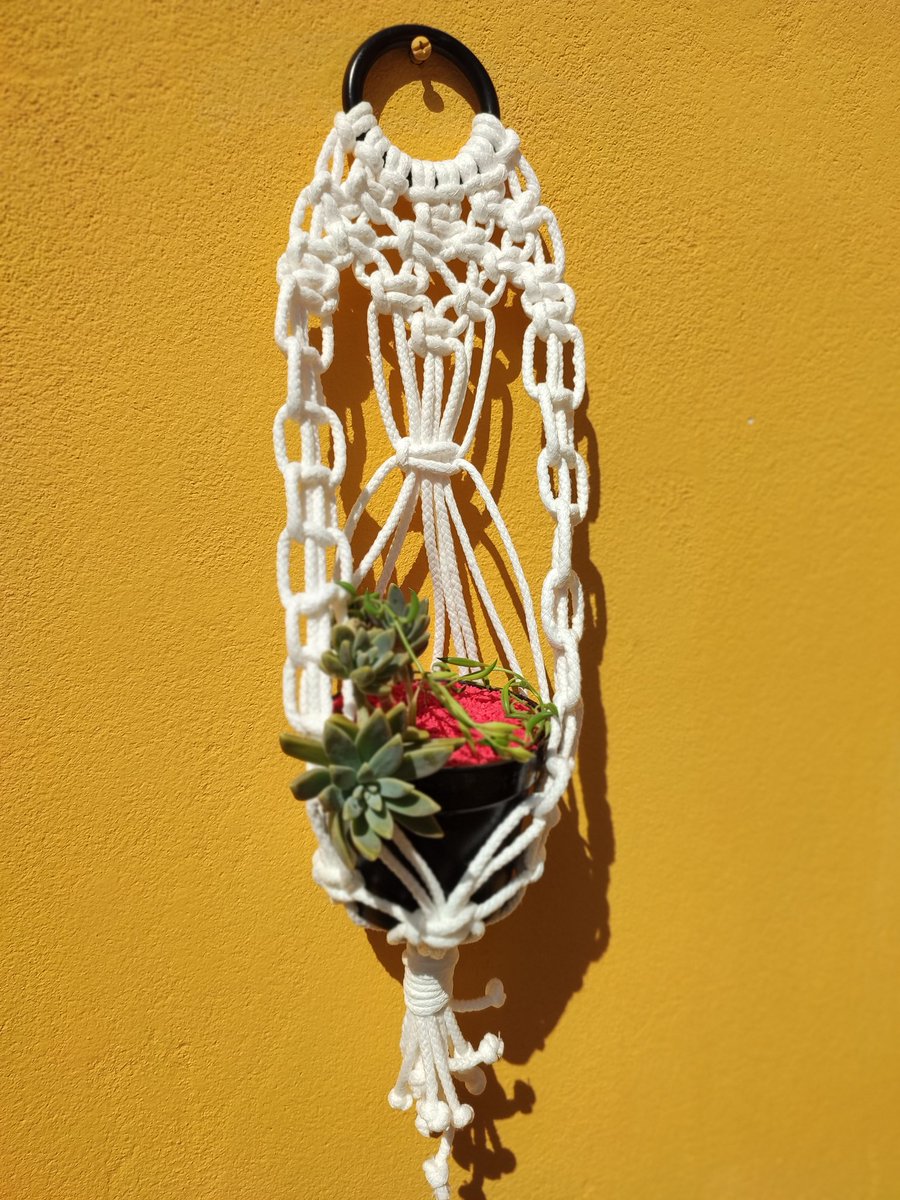 Adán Moreno tweet media