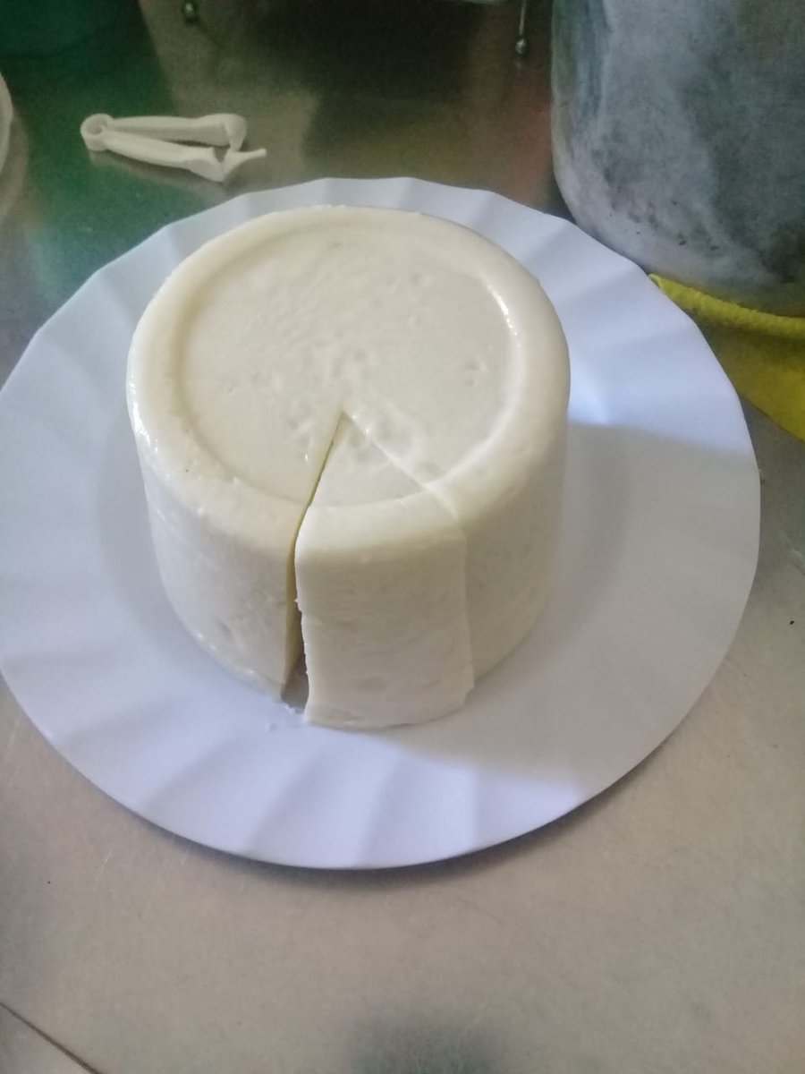 AcademiaIQV's tweet photo. Desde Argentina, Daniel Arellano nos comparte el resultado de su 1er Queso tipo Guayanés 👏🏻👏🏻👏🏻👏🏻
.
Las oportunidades de mejora de su proceso ya han sido analizadas y compartidas. Sin duda, cada vez será mucho mejor y delicioso! 
.
¿Qué les parece?
#aiqv #formaciónquesera https://t.co/FiMwT2fjKK