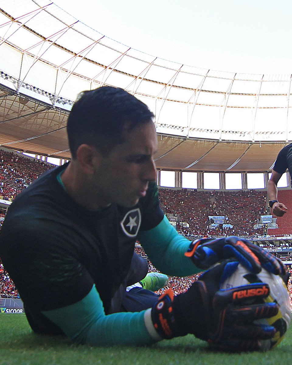 Brasileirao's tweet photo. Goleiro com G maiúsculo! Com G de Gatito! 🔥🐱

📷 Vítor Silva | Botafogo https://t.co/eIVDKhxCyd