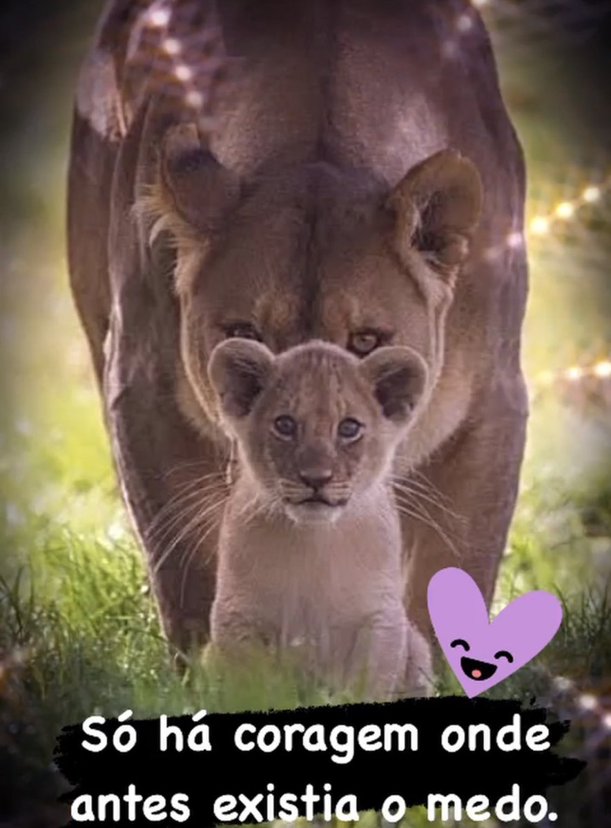 Feliz dia das Mães a todas as Mulheres que mesmo diante do medo de não conseguir, CORAJOSAMENTE tomam pra si essa linda e Divina missão de criar seres humanos à imagem e semelhança de Deus para abençoar e gerar Vida nessa Terra.
🙏🏻❤️🌷