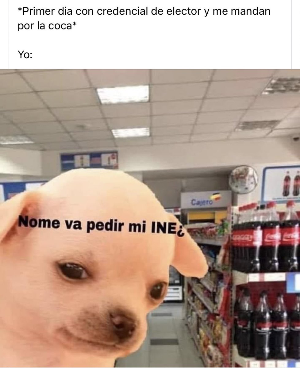 kesiperrito's tweet photo. https://t.co/eSmNJoZZ5X